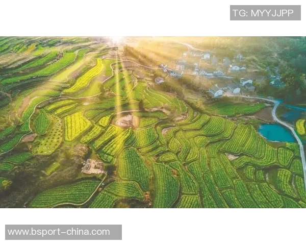 探索余姚明山镇的自然风光与人文魅力，感受乡村振兴的美丽新篇章